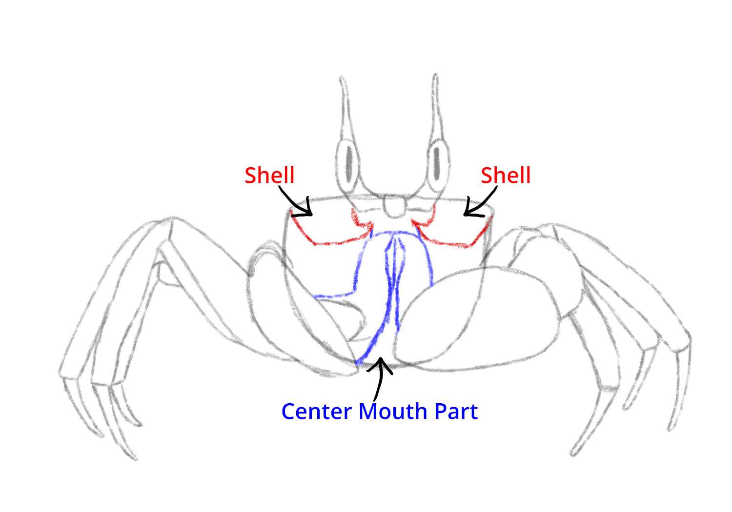 10 Pro Tips To Design 3D Crab Art Now