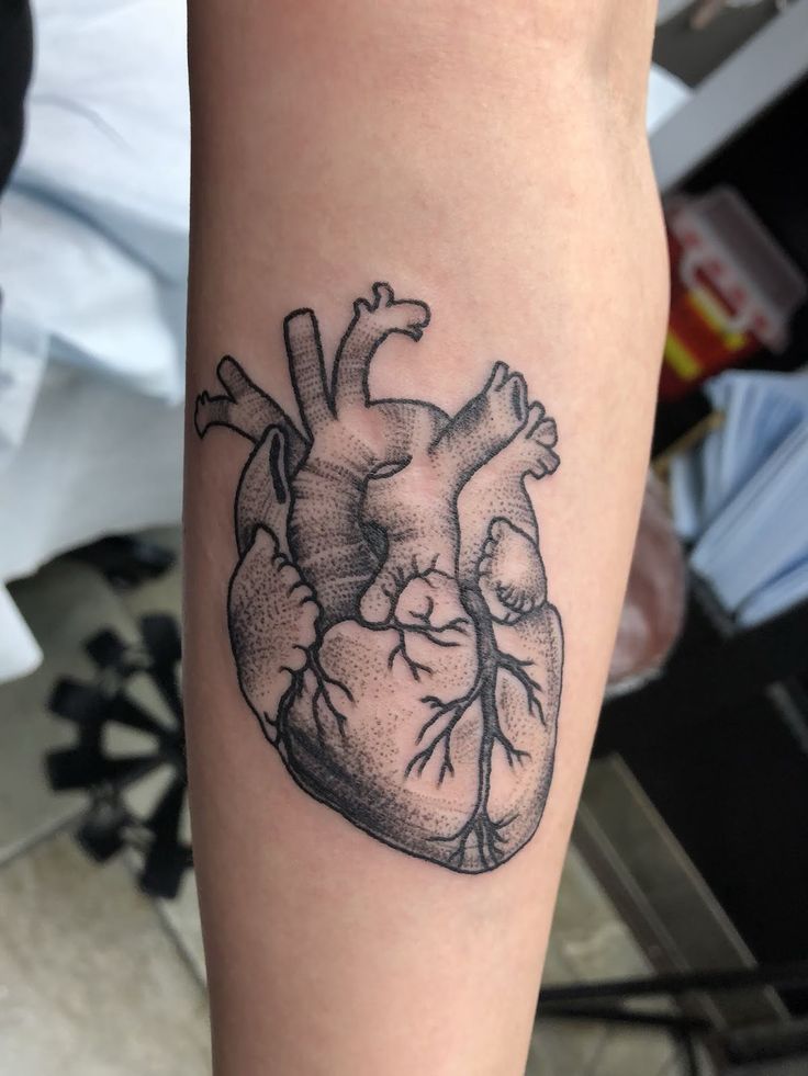 120 Realistic Anatomical Heart Tattoo Designs For Men 2022 With 120 Realistic Anatomical Heart Tattoo Designs For Men 2022 With