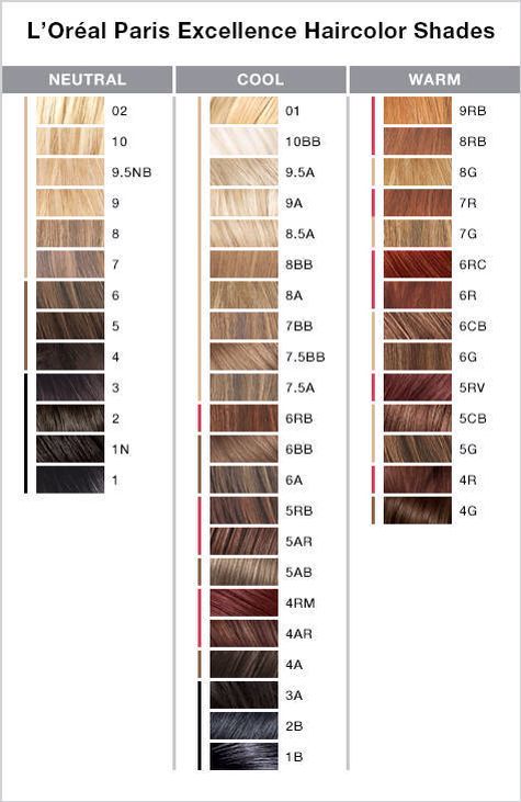 17 L'oreal Excellence Tips: Ultimate Hair Color Guide