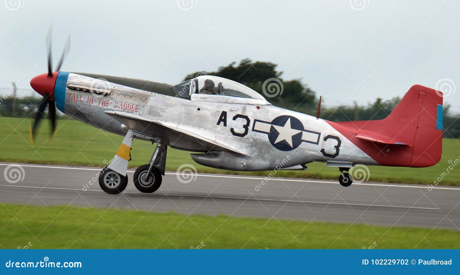 17 P51d Mustang Facts: Ultimate North American Fighter Guide