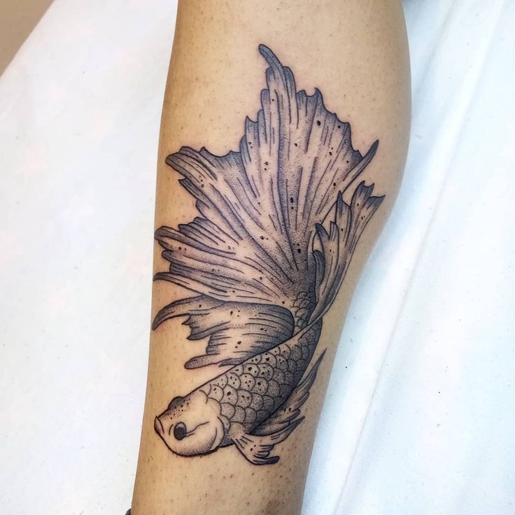 Betta Fish Tattoo Betta Fish Tattoo Design Simple Betta Fish Tattoo Betta Fish Tattoo Betta Fish Tattoo Design Simple Betta Fish Tattoo