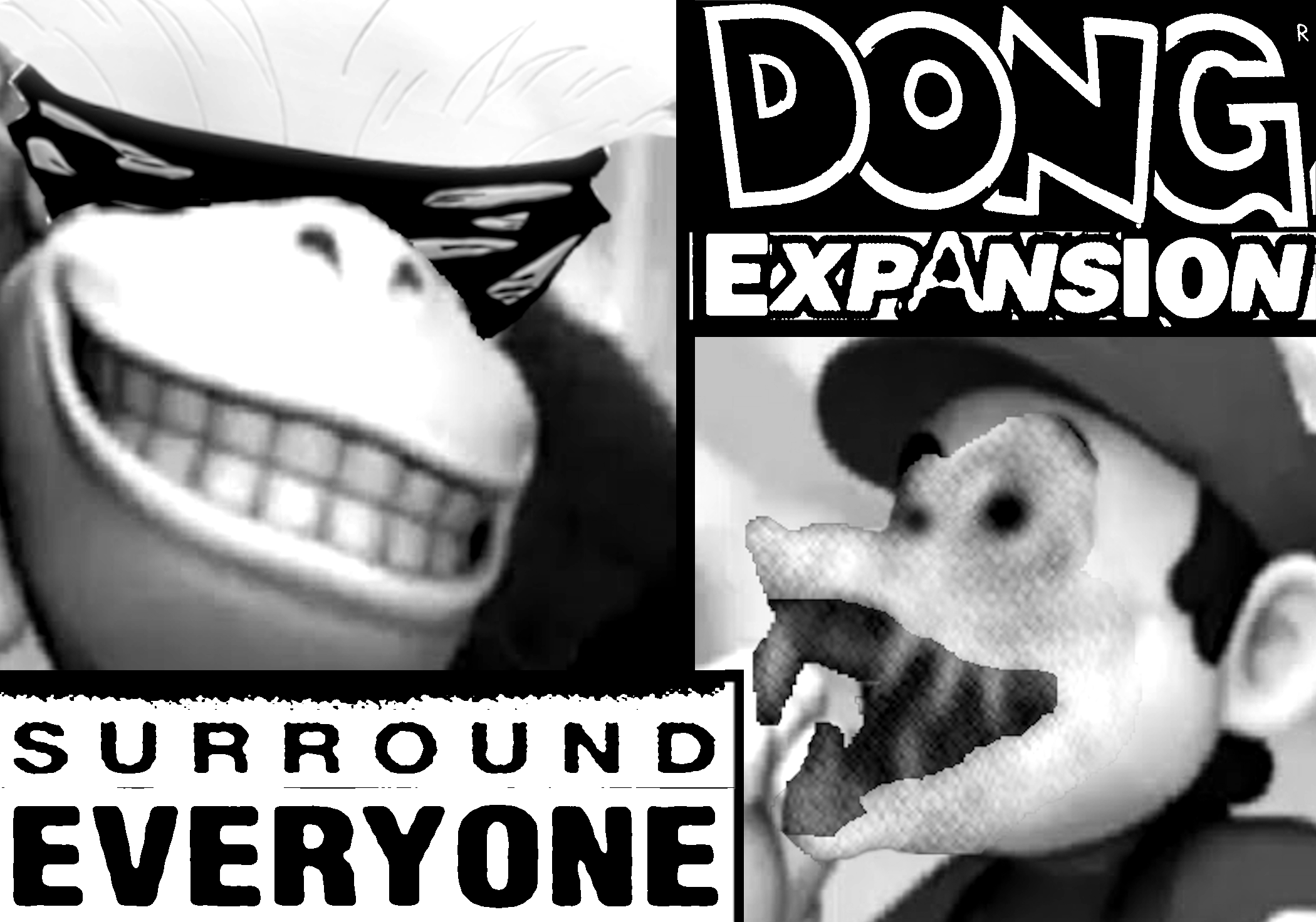 Domain Perchase