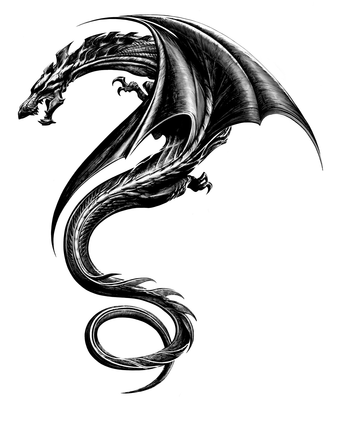 Dragon Tattoos Designs Ideas And Meaning Tattoos For You Dragon Tattoos Designs Ideas And Meaning Tattoos For You