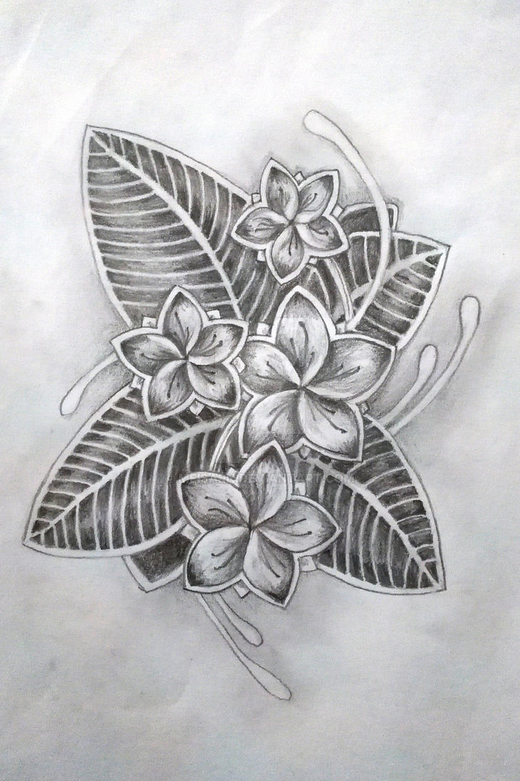 Frangipani Tattoo Frangipani Tattoo Tattoos Infinity Tattoo Frangipani Tattoo Frangipani Tattoo Tattoos Infinity Tattoo