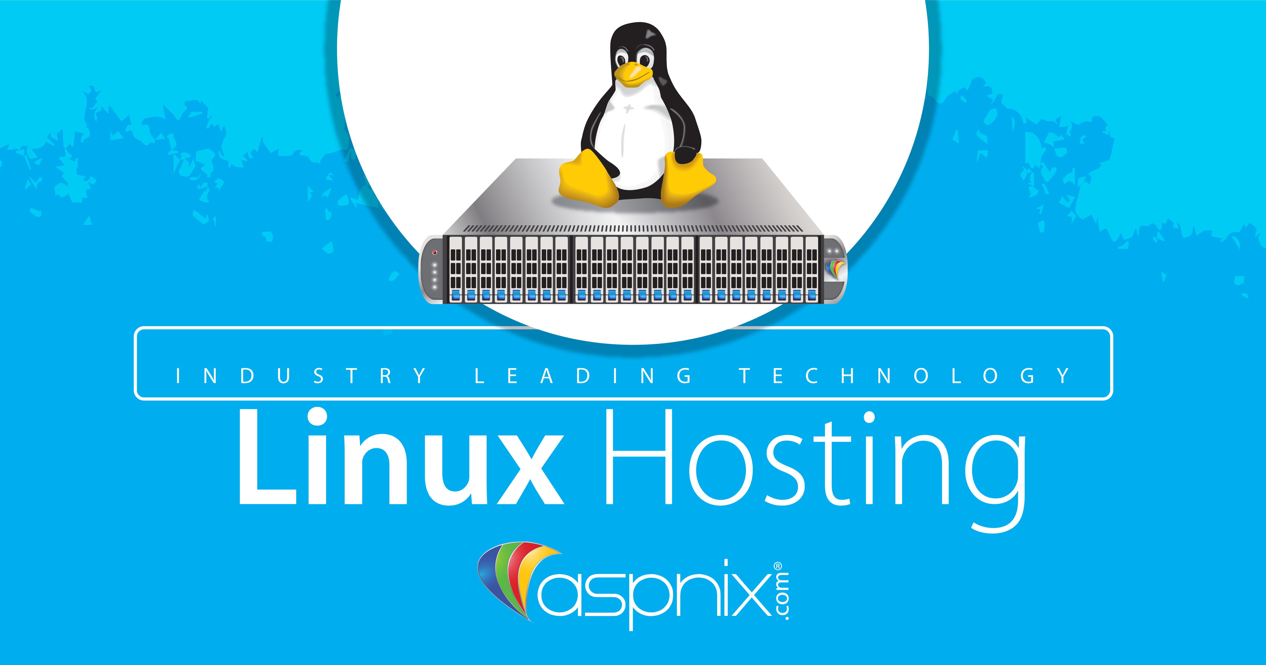 Linux Web Hosting With Perform At The Maximum Level Linux Web Hosting With Perform At The Maximum Level