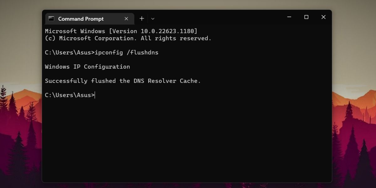 Release Dns Cache
