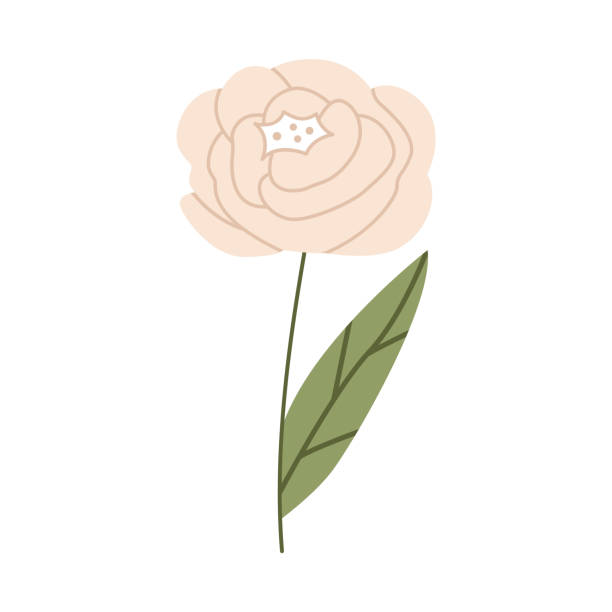 Rose With Stem Tattoo Designs Rose With Stem Tattoo Designs