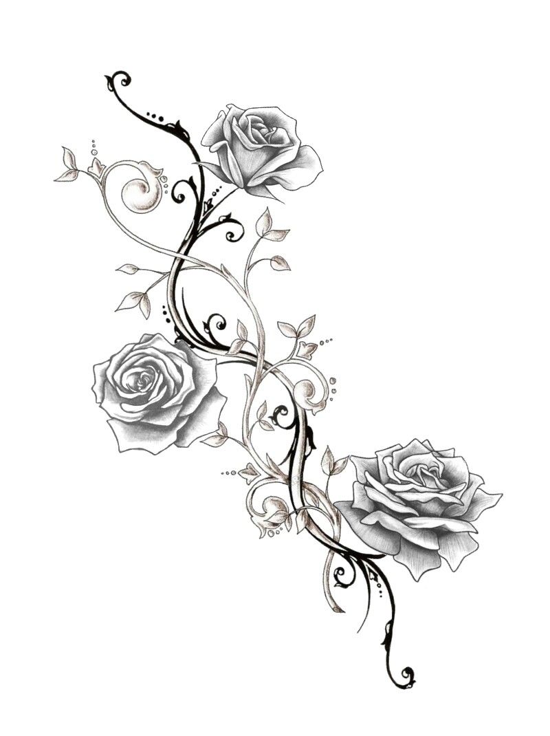 Tattoo Rose Vine Designs