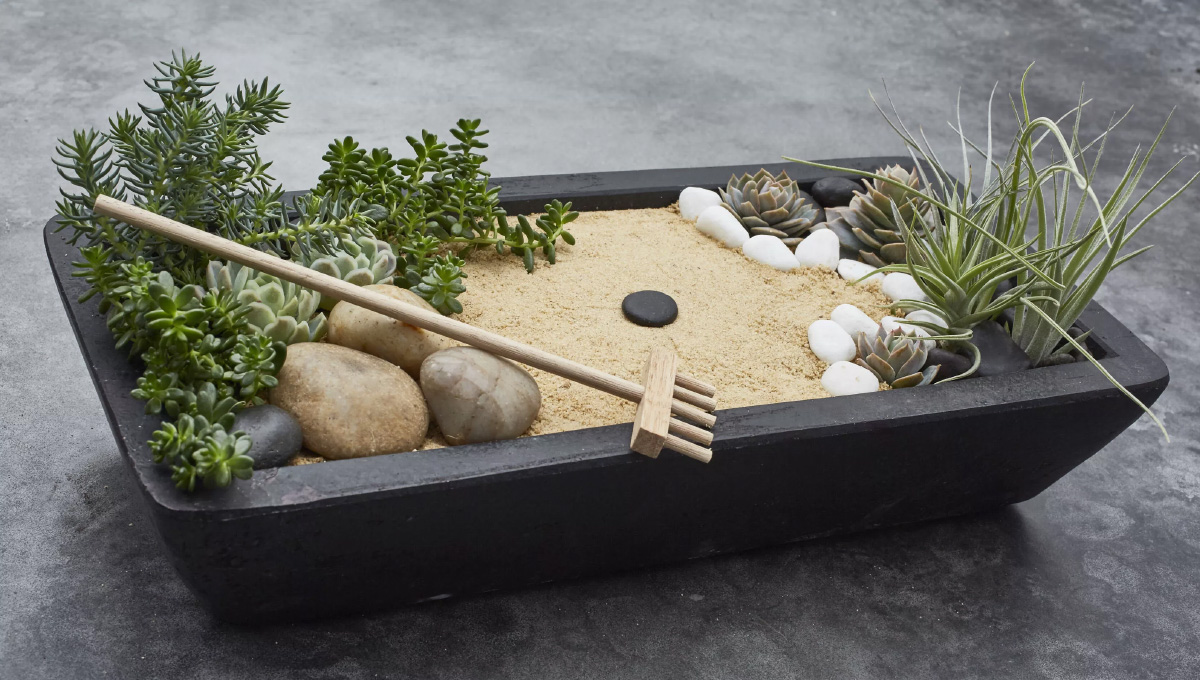 The Best Mini Zen Gardens For Your Comfort And Relaxation Aerogarden The Best Mini Zen Gardens For Your Comfort And Relaxation Aerogarden