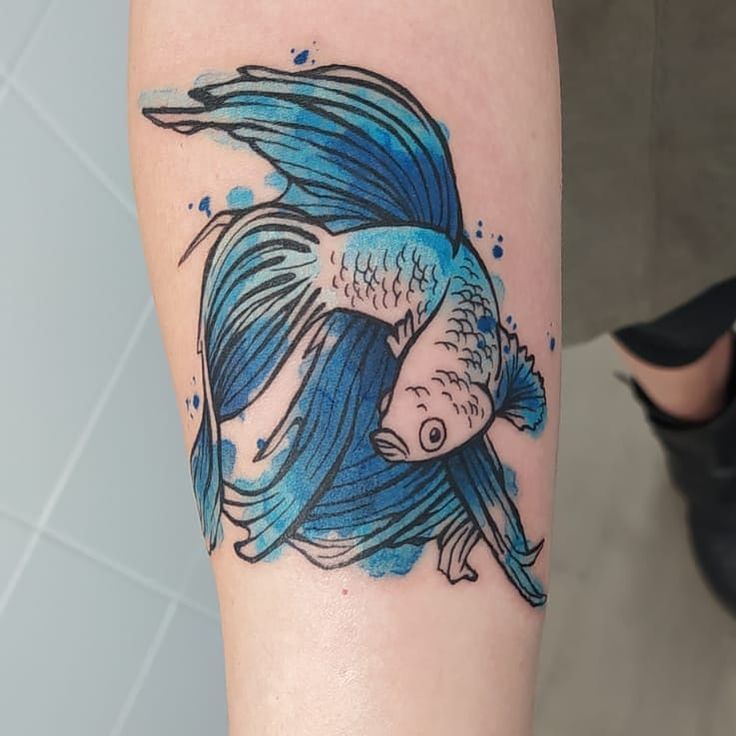 The Betta Fish Tattoo A Comprehensive Guide To Inked Aquatic Beauty The Betta Fish Tattoo A Comprehensive Guide To Inked Aquatic Beauty