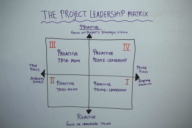 The Project Leadership Matrix Leadership Training The Project Leadership Matrix Leadership Training