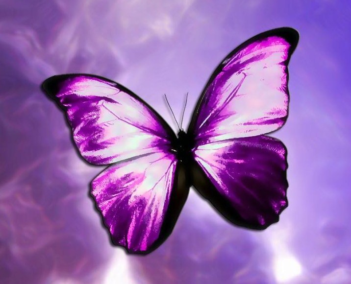 Two Small Purple Butterflies On The Left Side Of The Arm With One Two Small Purple Butterflies On The Left Side Of The Arm With One