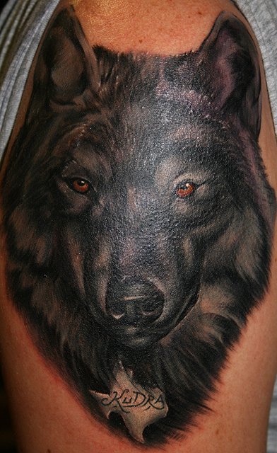 Ultimate Black Wolf Tattoo Designs Now