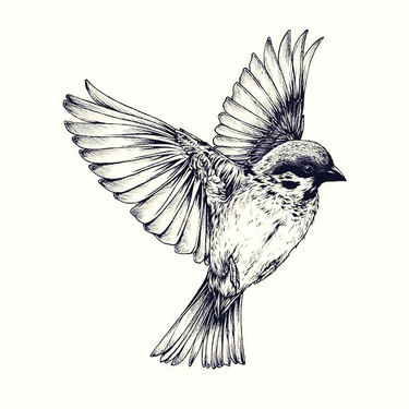 Ultimate Captain Sparrow Tattoo Designs Now Ultimate Captain Sparrow Tattoo Designs Now