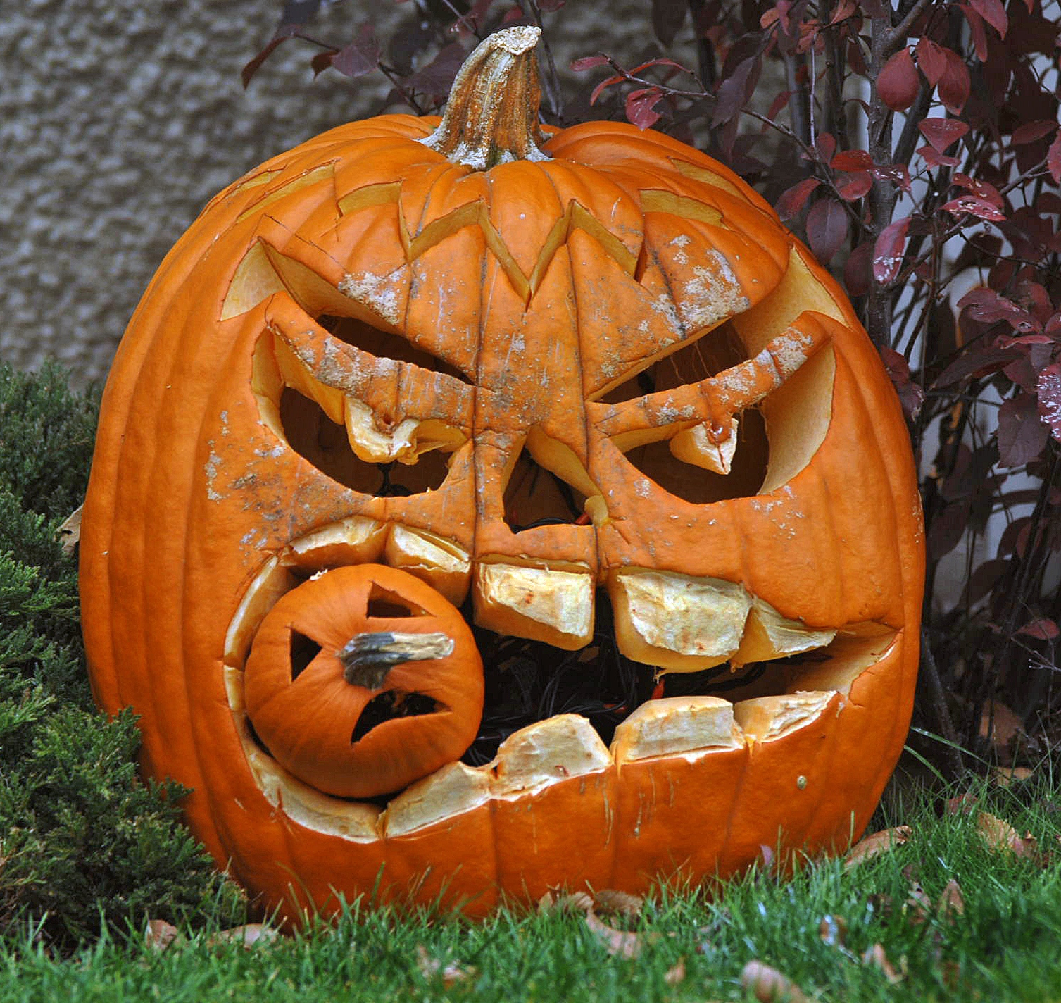 Ultimate Pumpkin Faces: 7 Pro Designs Now Ultimate Pumpkin Faces: 7 Pro Designs Now